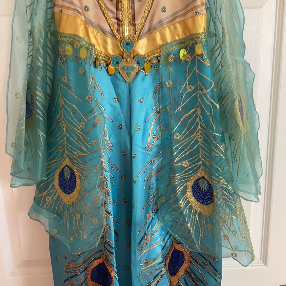 Aladdin Custom - Picture 4 of 8